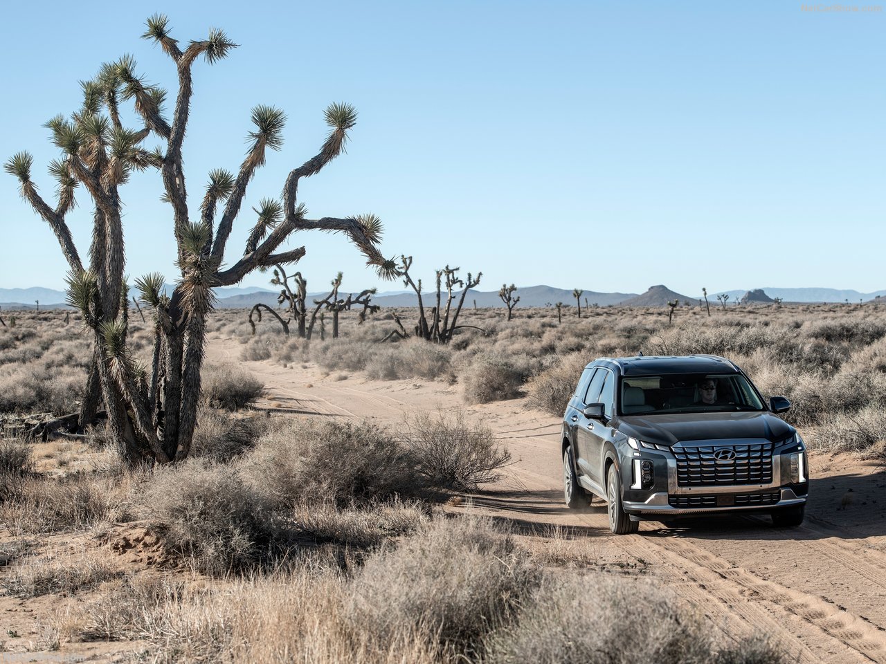Hyundai Palisade Limited 2023 SUV Drive